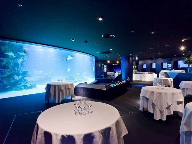 サンシャイン水族館 貸切食事会